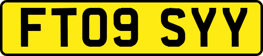 FT09SYY