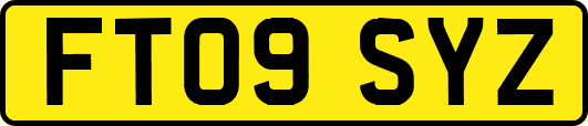 FT09SYZ