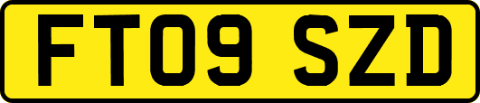 FT09SZD