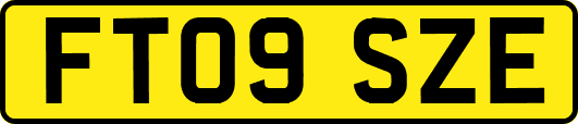 FT09SZE