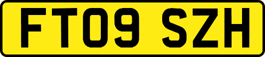 FT09SZH