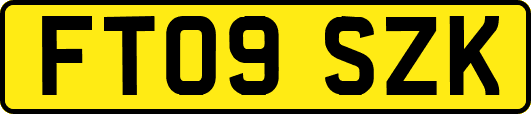 FT09SZK