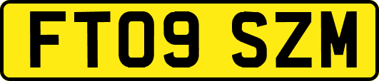 FT09SZM