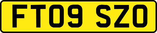 FT09SZO