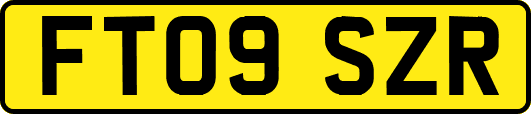 FT09SZR