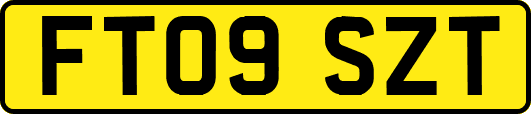 FT09SZT