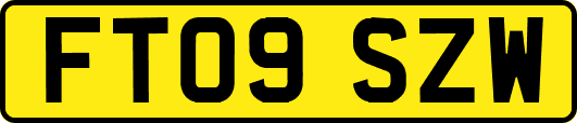 FT09SZW