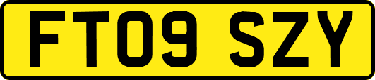 FT09SZY