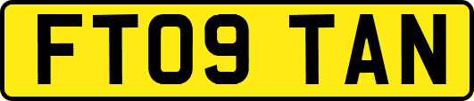 FT09TAN