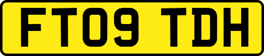 FT09TDH