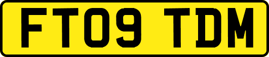 FT09TDM
