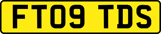 FT09TDS