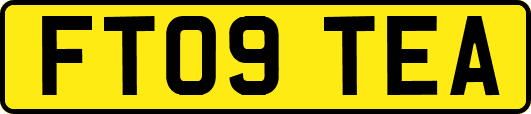 FT09TEA