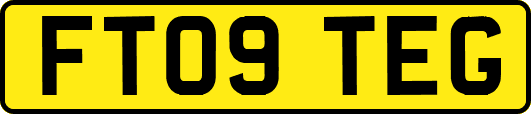 FT09TEG
