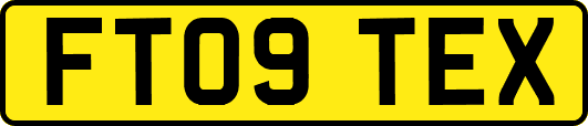 FT09TEX