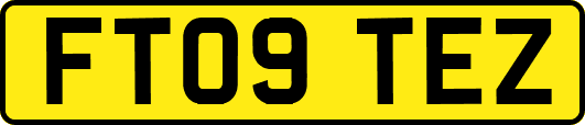 FT09TEZ