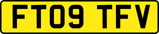 FT09TFV