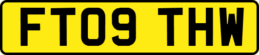 FT09THW