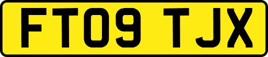 FT09TJX