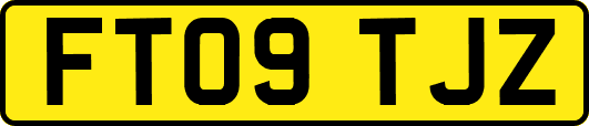 FT09TJZ