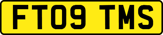 FT09TMS