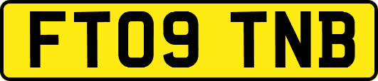 FT09TNB