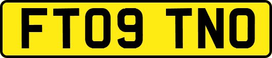 FT09TNO