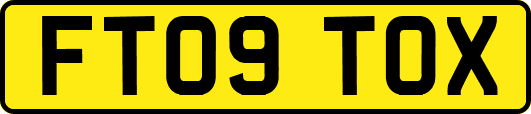 FT09TOX