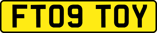 FT09TOY