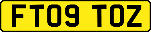 FT09TOZ