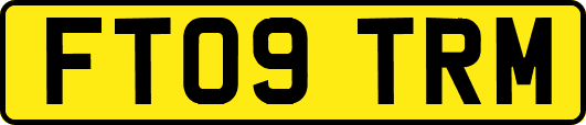 FT09TRM