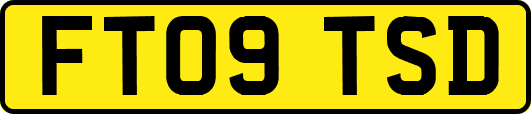 FT09TSD