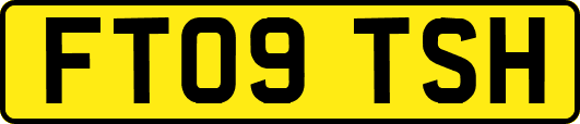FT09TSH