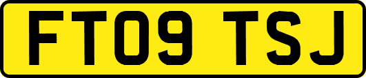 FT09TSJ