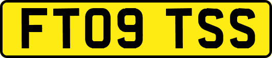 FT09TSS