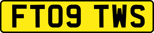FT09TWS