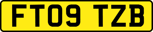 FT09TZB