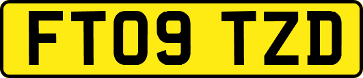FT09TZD