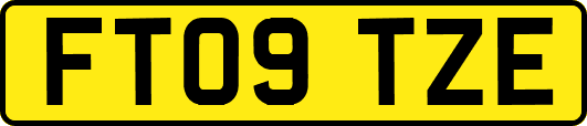 FT09TZE