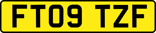 FT09TZF