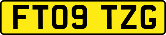 FT09TZG