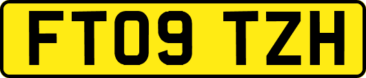 FT09TZH