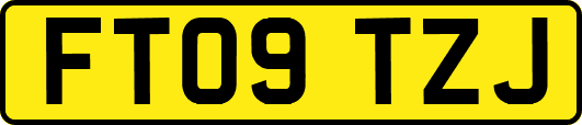 FT09TZJ