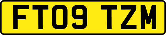 FT09TZM