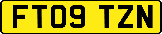 FT09TZN