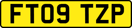 FT09TZP