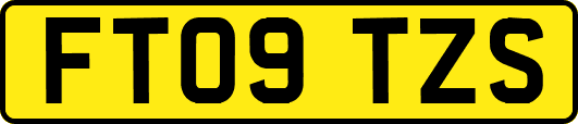 FT09TZS