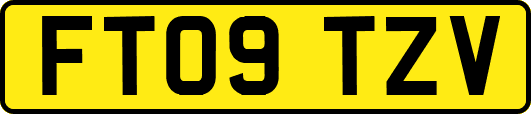 FT09TZV