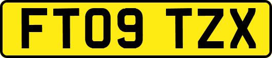 FT09TZX