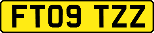 FT09TZZ